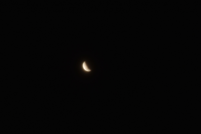 Observez la Super Lune bleue