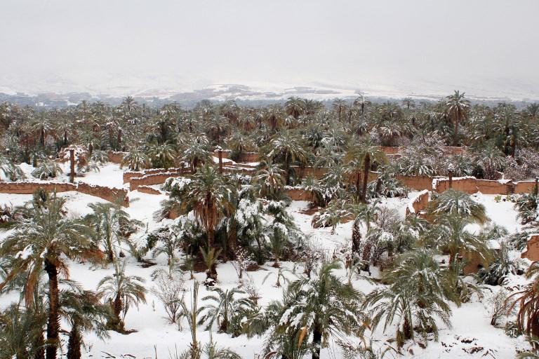Des chutes de neiges inhabituelles dans le désert marocain