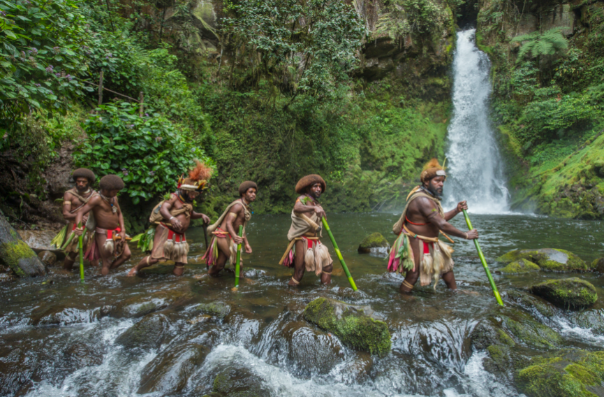 Frère des arbres : une vision du monde
