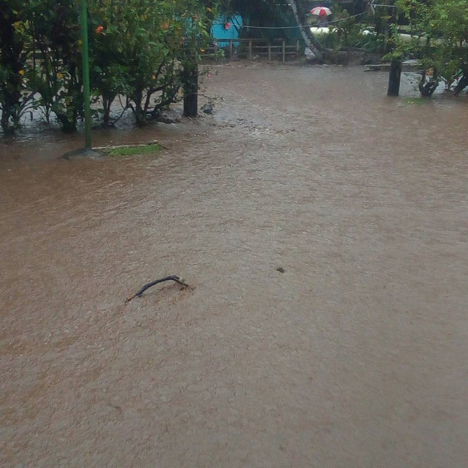 À Tiarei, plusieurs habitations ont été inondées. (Photo amateur facebook)