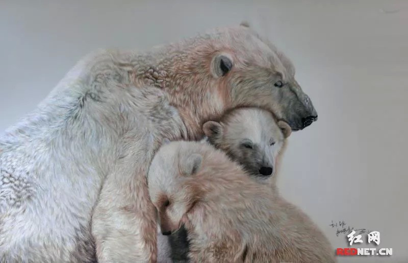 "Leur façon de broder peut refléter de manière réaliste les animaux".