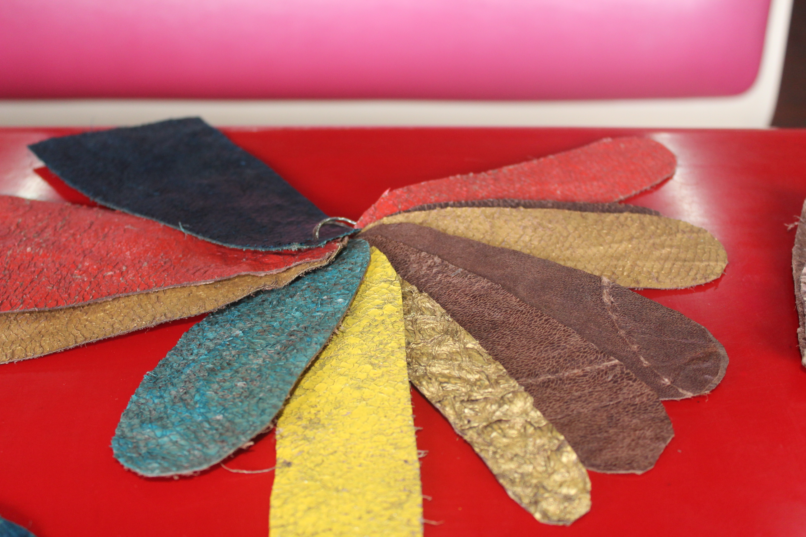 Le cuir véritable fabriqué à partir de peaux de poissons est 100% écolo.