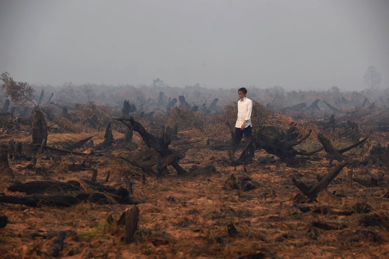 Indonésie: violents feux de forêts à Sumatra et Bornéo