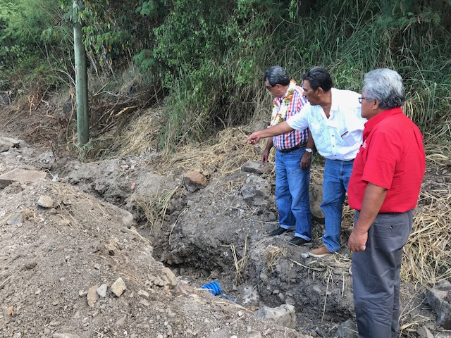 Rikitea : 30 hectares de terres bientôt cultivés
