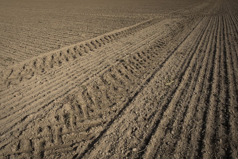 La Chine, acheteuse vorace de terres agricoles à l'étranger