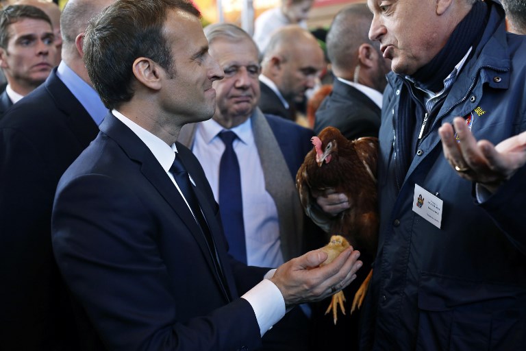 Au salon de l'agriculture, Emmanuel Macron a adopté une poule