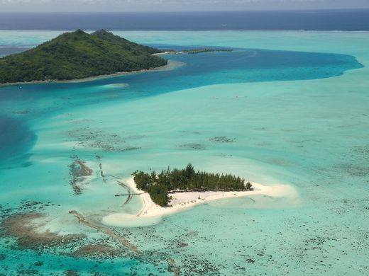 L'administrateur judiciaire des propriétaires voudrait vendre le motu Tapu aux enchères. Le prix de départ serait fixé à 5 milliards de francs.