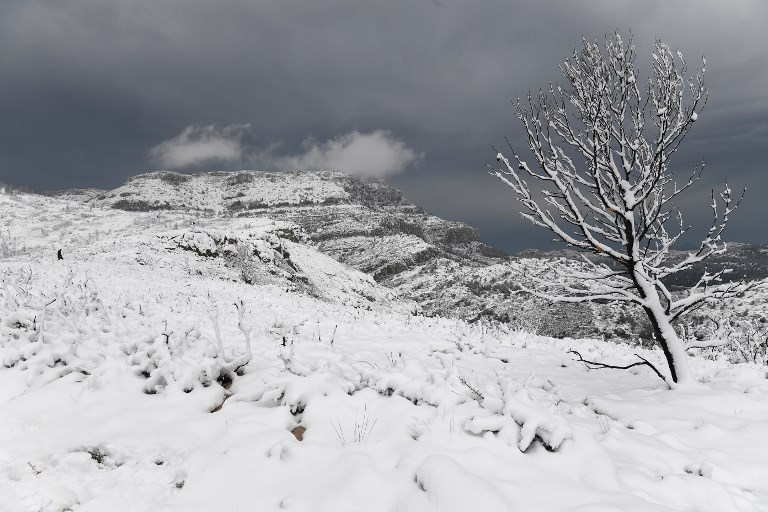 Le Sud sous la neige après la nuit la plus froide de l'hiver