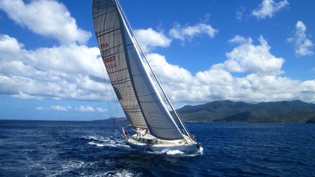 L'appel à l'aide des filles du Loup