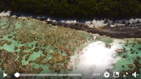 Tetiaroa à couper le souffle lors d'une session de kite