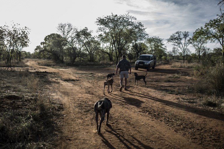 L'Australie courtise les Sud-Africains blancs "persécutés", Pretoria enrage