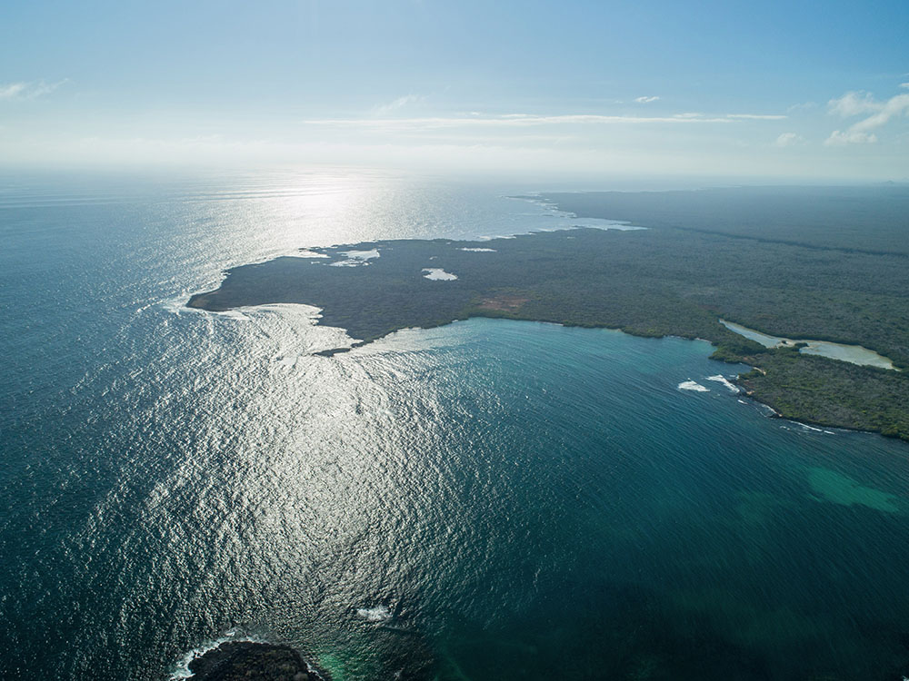 Galapagos: 22 tonnes de déchets ramassés sur les côtes pour protéger les îles