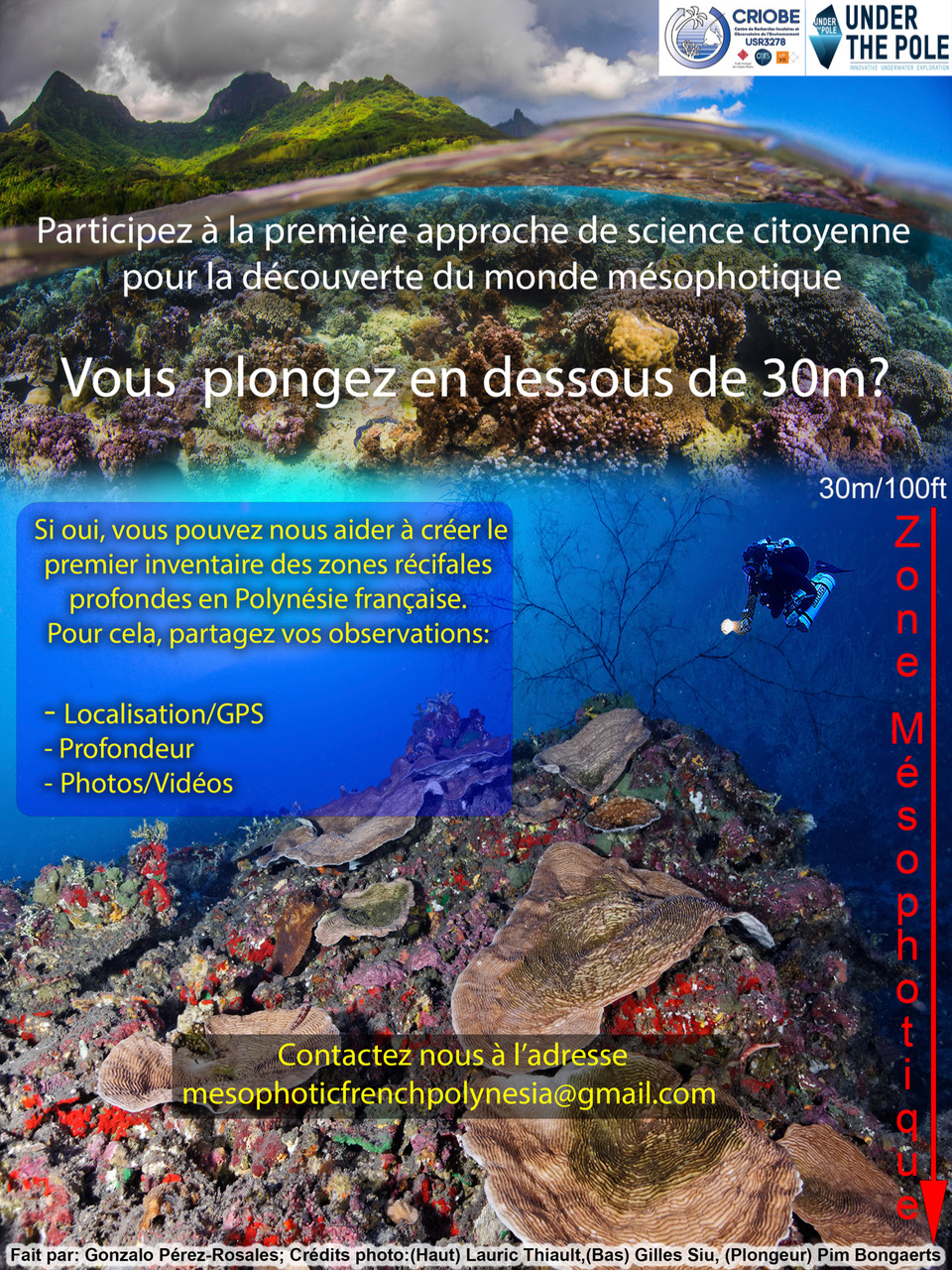 Vous plongez en dessous de 30 mètres ? Testez la science participative ! 