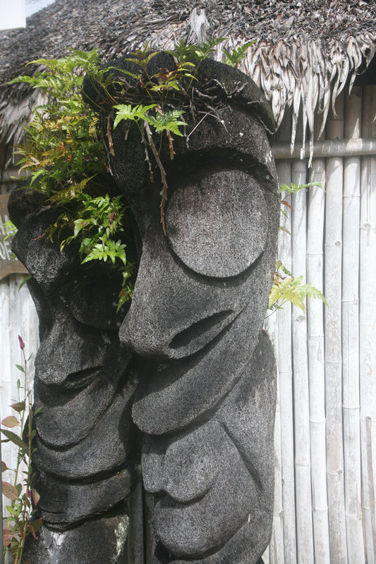 Vous rêvez de fougères d'Ambrym chez vous ? Rappelez-vous que seuls les sculpteurs de cette île sont autorisés à les travailler selon ce design. Vous n'en trouverez donc pas ailleurs (sinon dans les galeries de Port-Vila ou de Nouméa).