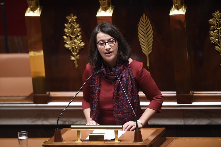 Coup de mou chez les écologistes: Duflot raccroche, Placé arrêté en état d'ébriété