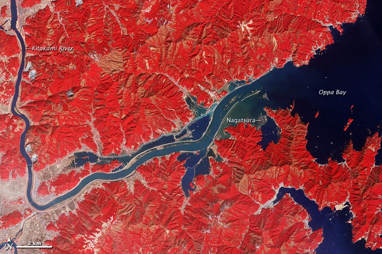 Japon: cinq blessés dans un séisme de magnitude 5,6