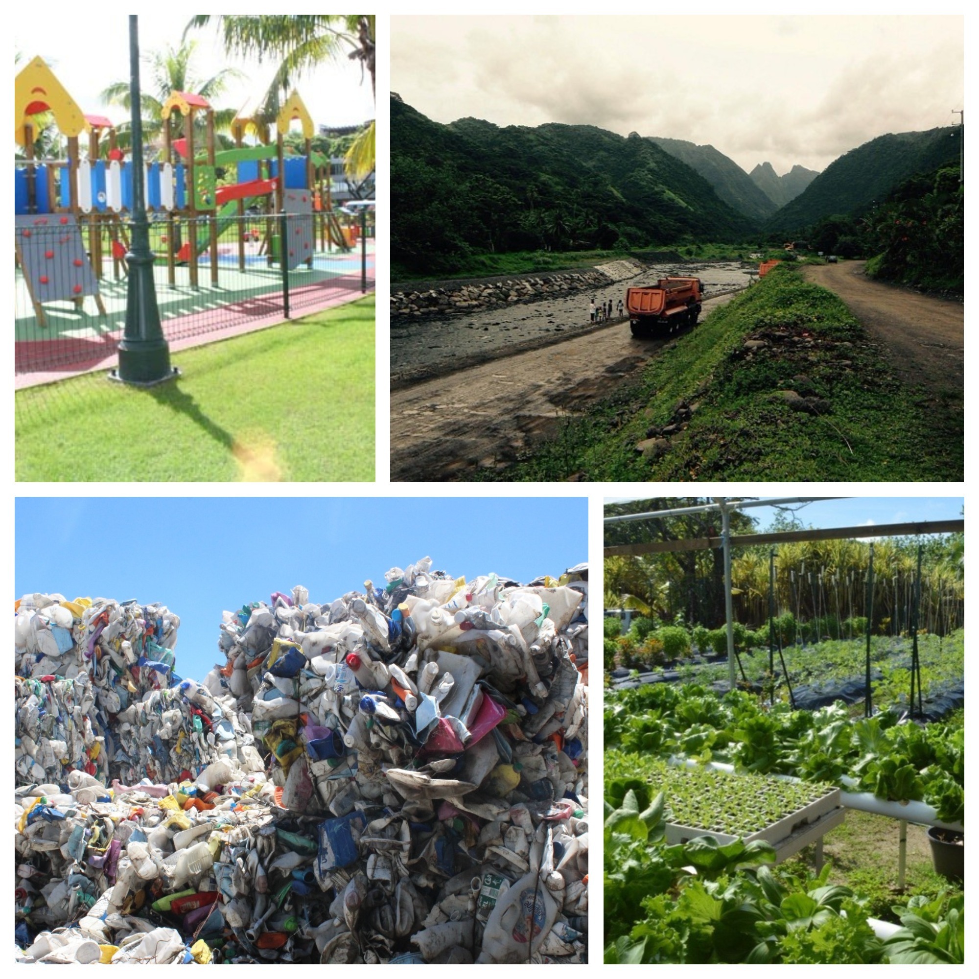 Territoriales : les protecteurs de l'environnement interpellent les candidats