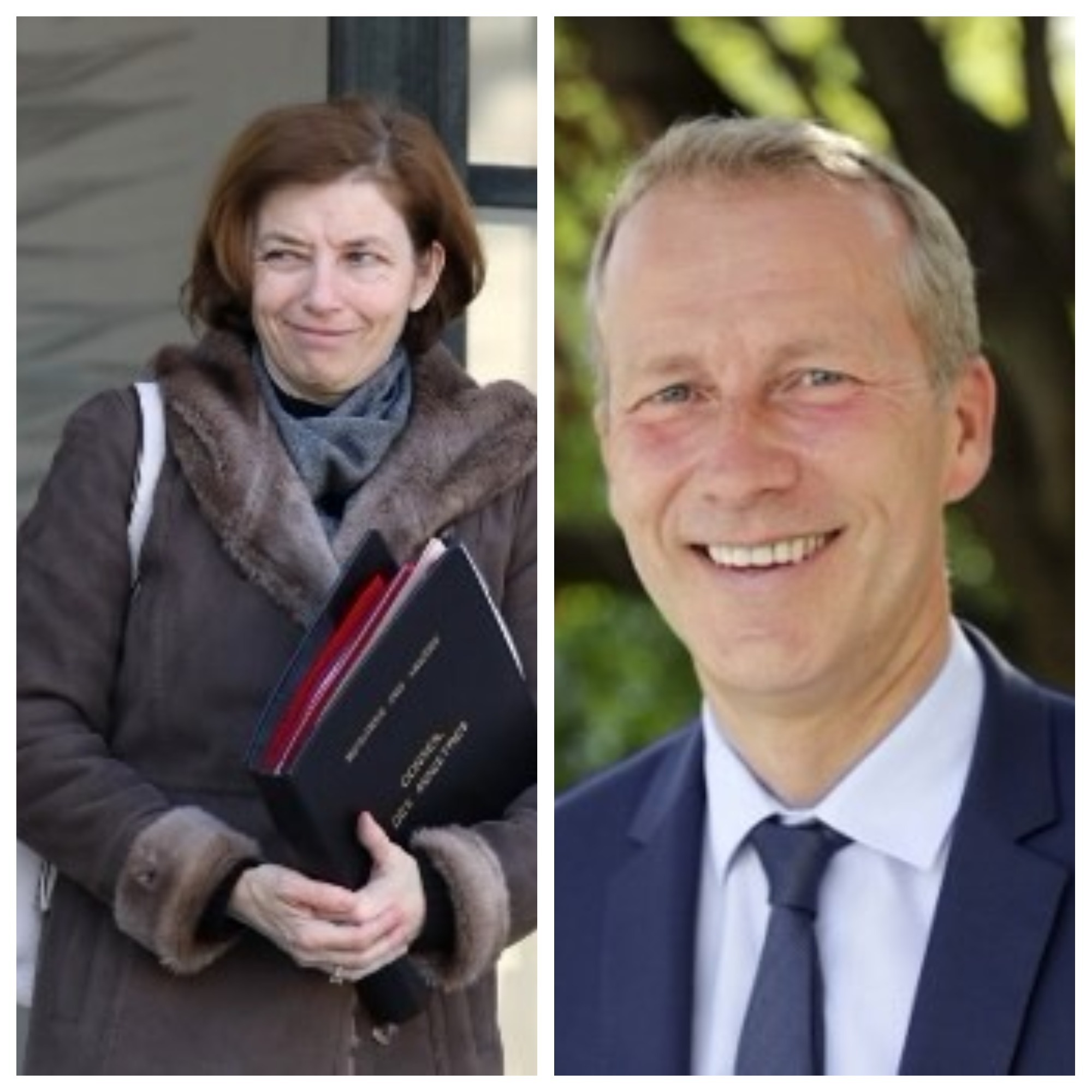 Florence Parly, ministre des Armées, a répondu au député Guillaume Garot.