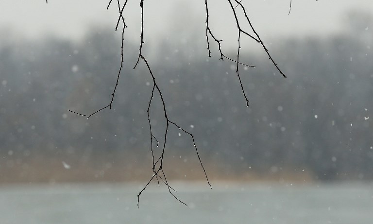 Un célèbre avocat américain se suicide par le feu pour dénoncer la pollution