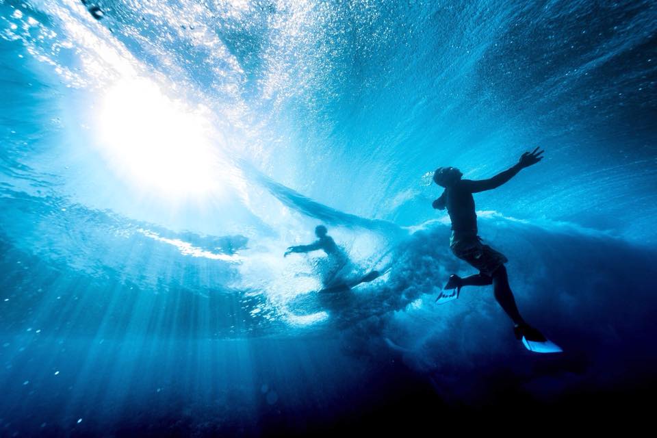 Expo photo: « De la nature des choses » à la galerie Winkler
