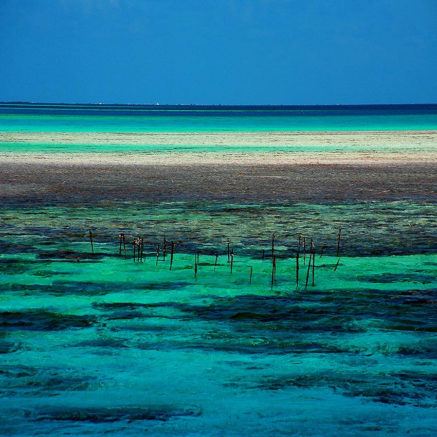 Expo photo: « De la nature des choses » à la galerie Winkler