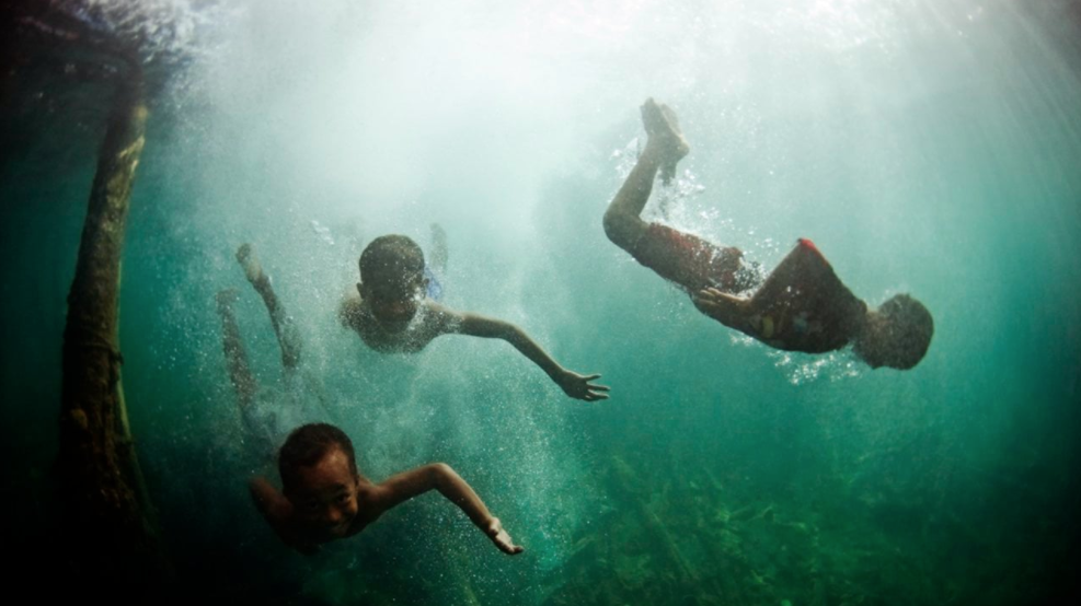 Première preuve d'une adaptation génétique à la plongée (étude)
