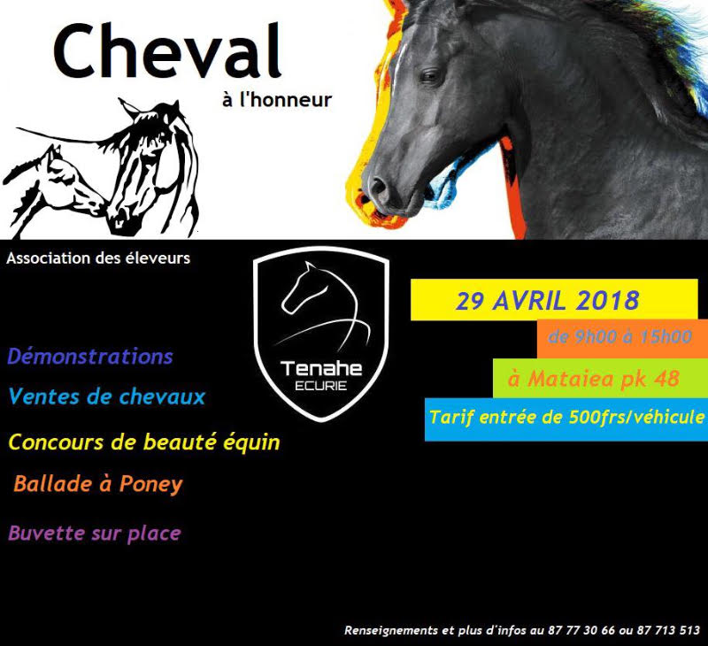 Un concours de beauté et une vente aux enchères de chevaux à Mataiea