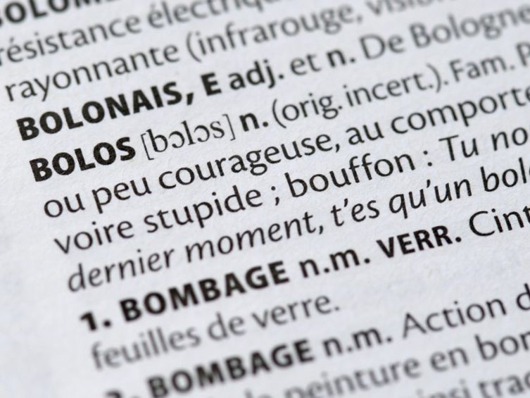 Un "schmutz" sous la "gouttine": les nouveaux mots des dictionnaires