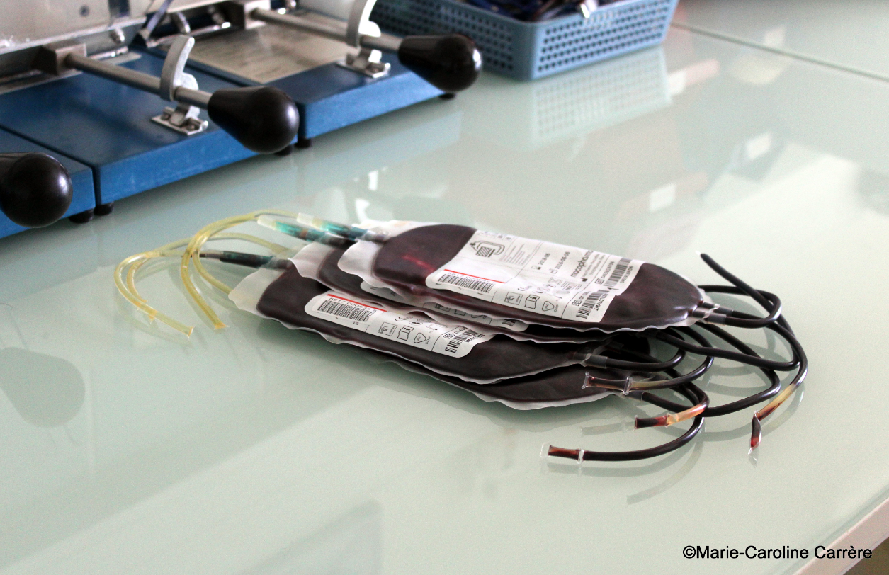 Rendez-vous à la Présidence et à la mairie de Faa'a pour donner votre sang