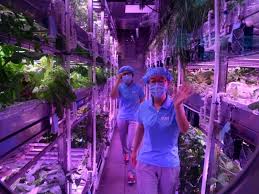 Chine: des étudiants ont passé 110 jours "comme sur la Lune"