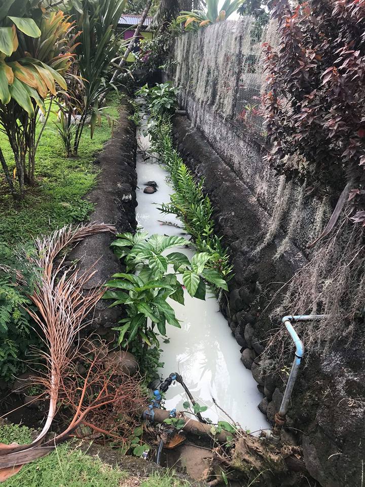 Un liquide blanchâtre a été retrouvé dans le ruisseau qui longe l'école maternelle de Fare Va'a à Mahina.