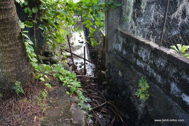Depuis la mise en place de ce grillage, l'eau déborde durant les pluies. Une situation qui inquiète les riverains, surtout si le ruisseau est pollué.