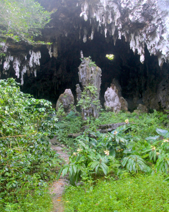 L’entrée principale de la grotte A’Eo dans le secteur de Vitaria : une caverne qui fut le théâtre de nombreux actes de cannibalisme si l’on en croit les récits locaux.