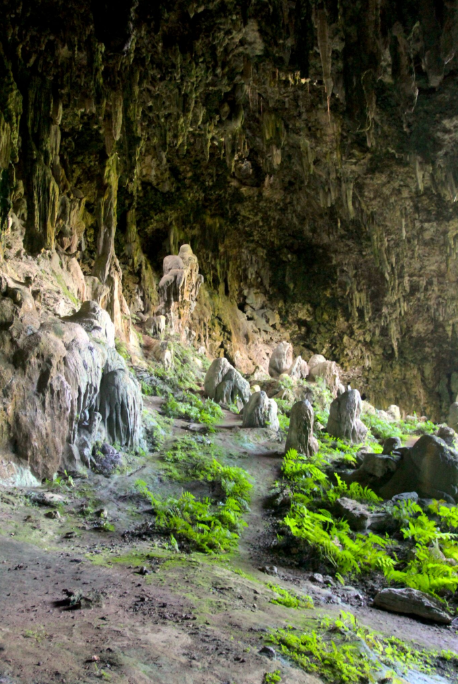 Le sol de la caverne est toujours en cours de formation, puisque des gouttes d’eau chargées en carbonate de calcium continuent de tomber sur les stalagmites qui grandissent ainsi de quelques millimètres par an.