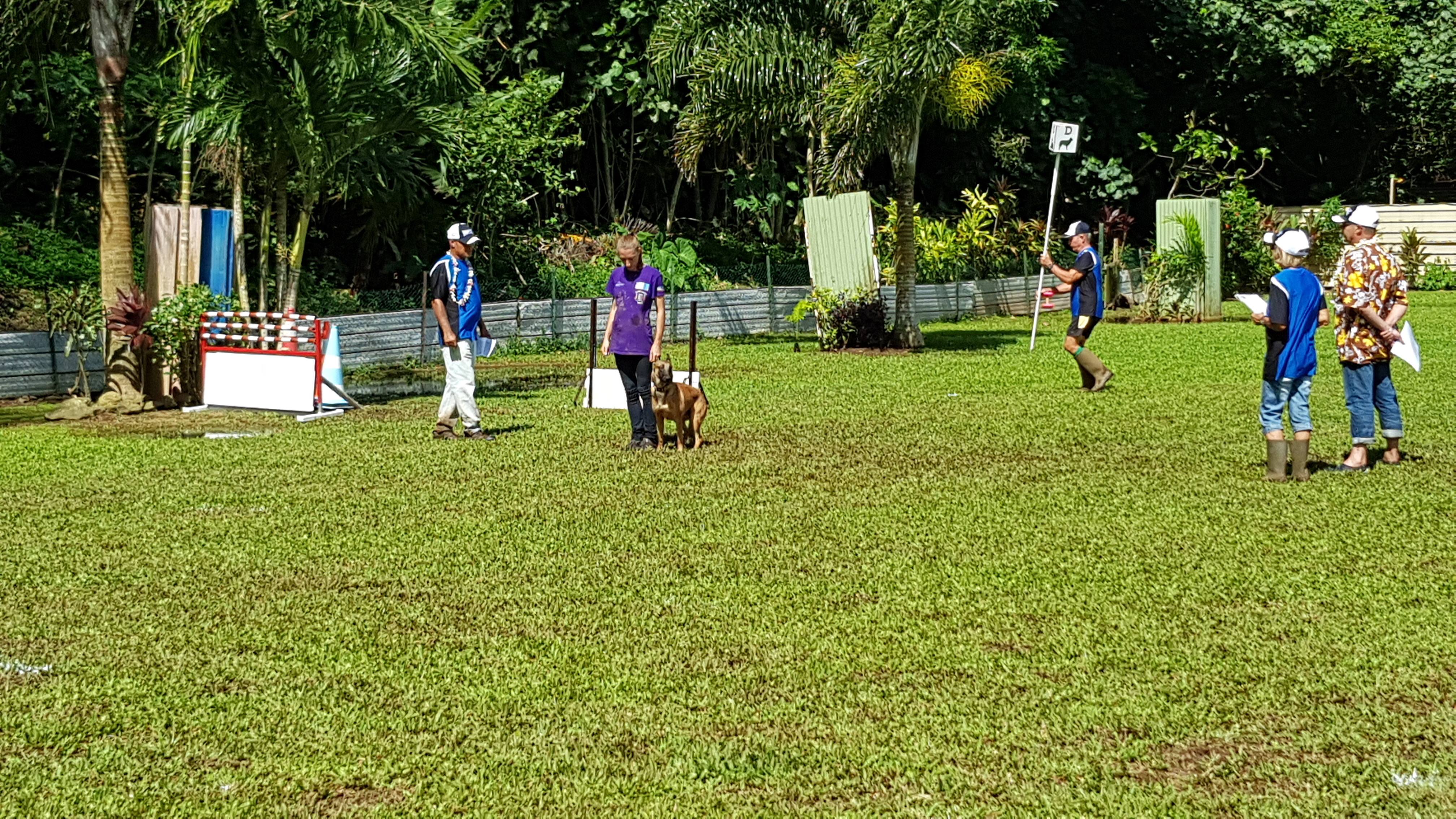Club canin de Pirae : un concours d'obéissance prévu le 2 juin