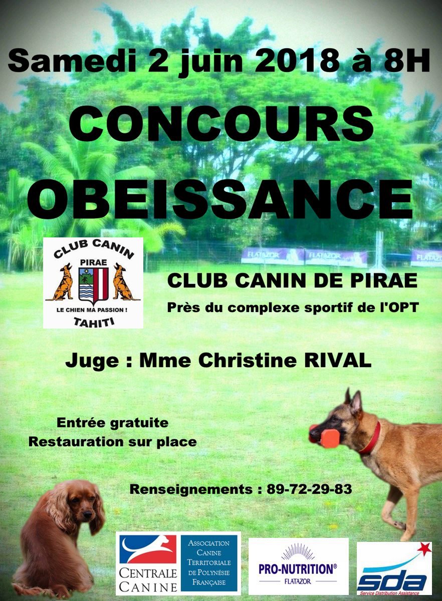 Club canin de Pirae : un concours d'obéissance prévu le 2 juin