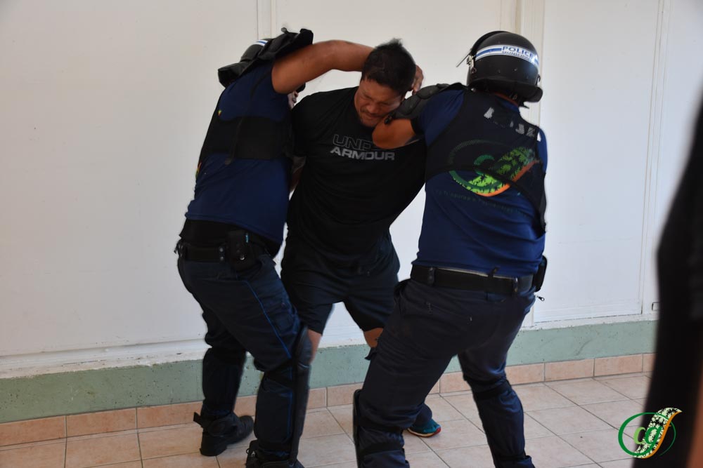 Les stagiaires se sont notamment entraînés à la maîtrise d'un individu virulent. Crédit CGF.