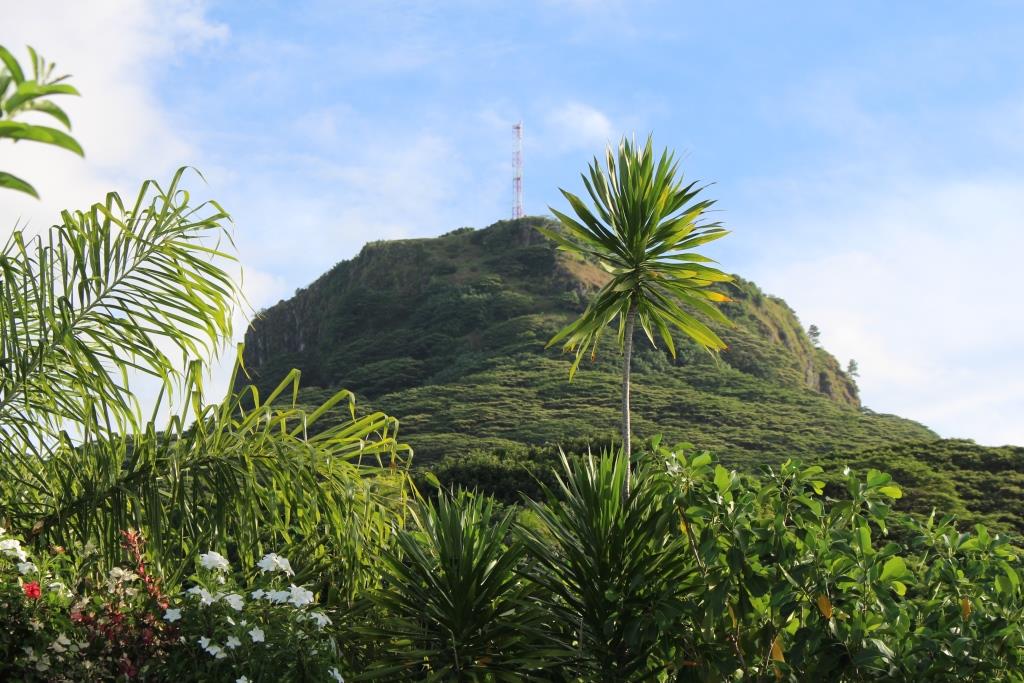 La biodiversité, c'est quoi?