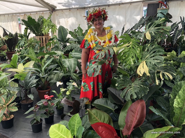 Les "'ape" (famille des aracées) sont mis en avant pour cette édition.