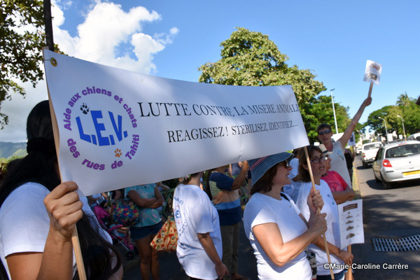 Une centaine de personnes ont marché pour les droits des animaux
