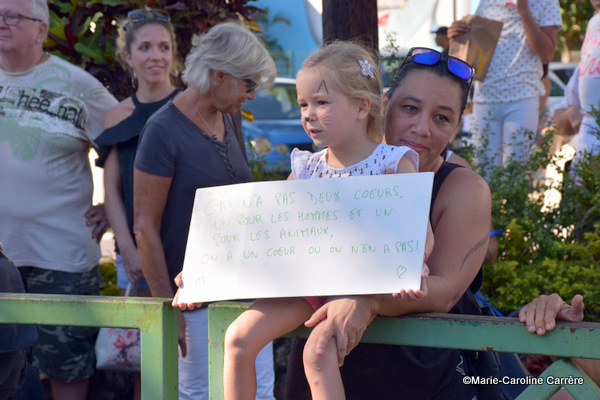 Une centaine de personnes ont marché pour les droits des animaux