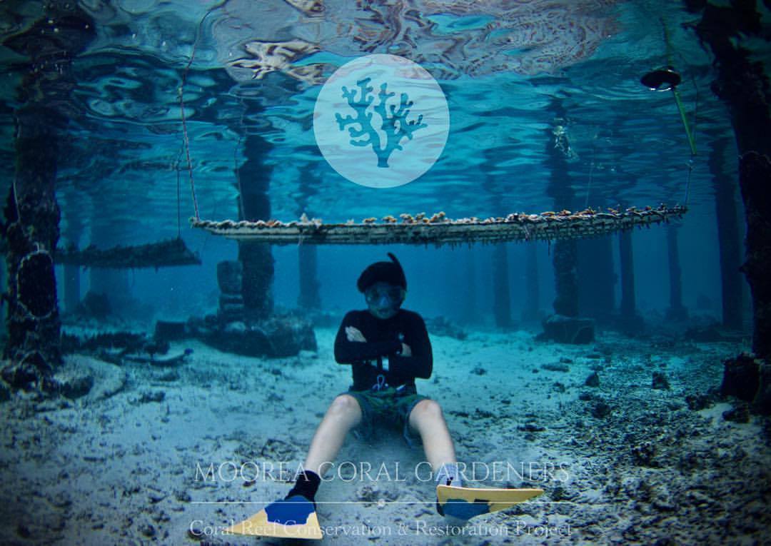 Des jeunes de Moorea agissent pour nos récifs