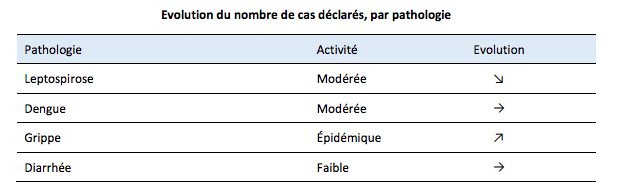 Bureau de veille sanitaire: l'épidémie de grippe fait un mort