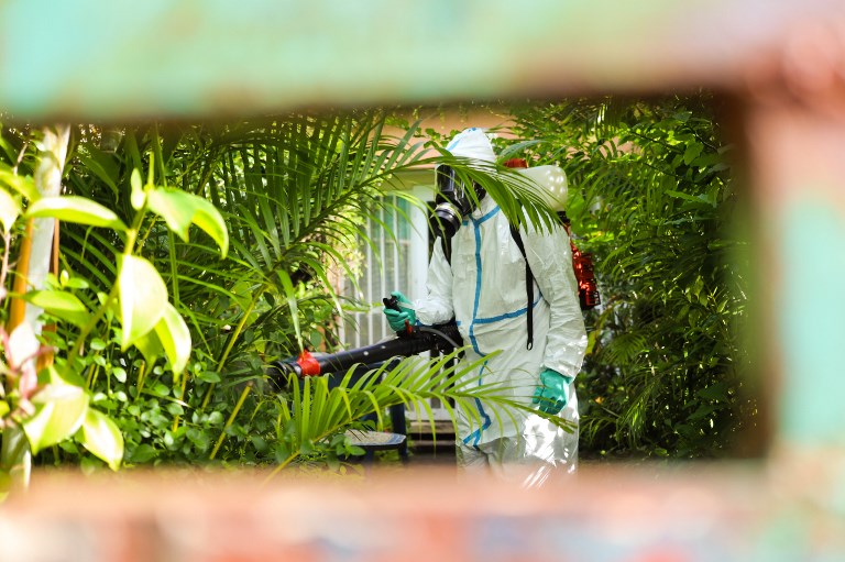 L'épidémie de dengue se poursuit à La Réunion