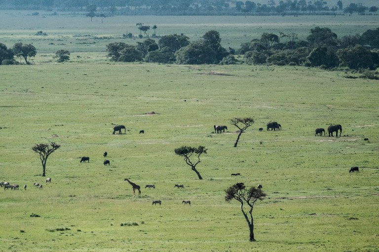 Kenya: recherches en cours pour localiser un avion accidenté avec 10 passagers