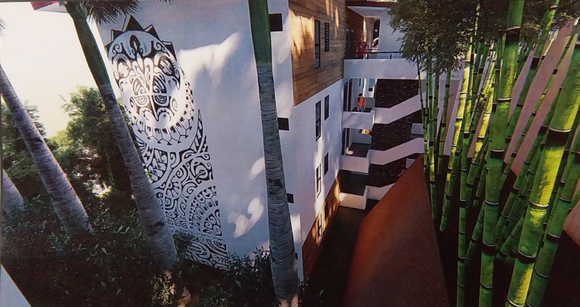 Un projet de 224 logements à Arue inquiète les habitants