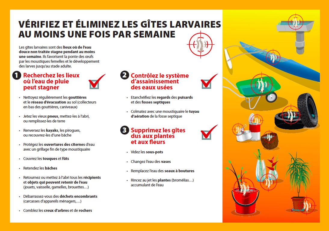 Dengue de type 2 : la Polynésie placée en alerte sanitaire