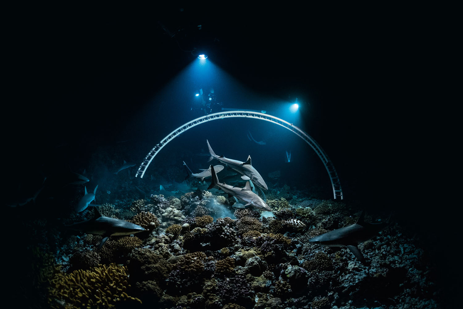 L'arche permet de se déplacer en 3D autour de la scène