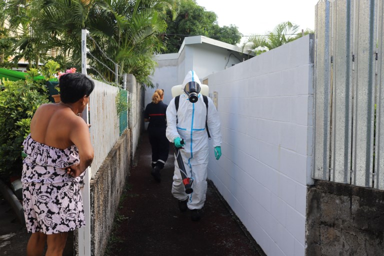 L'épidémie de dengue ne faiblit pas à La Réunion