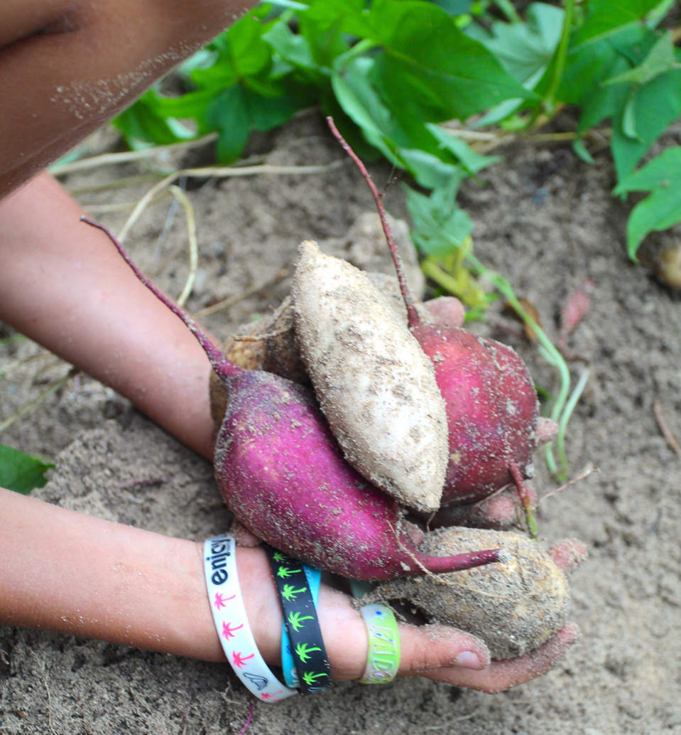 Carnet de voyage: Vaitumu Village, perle de Rurutu